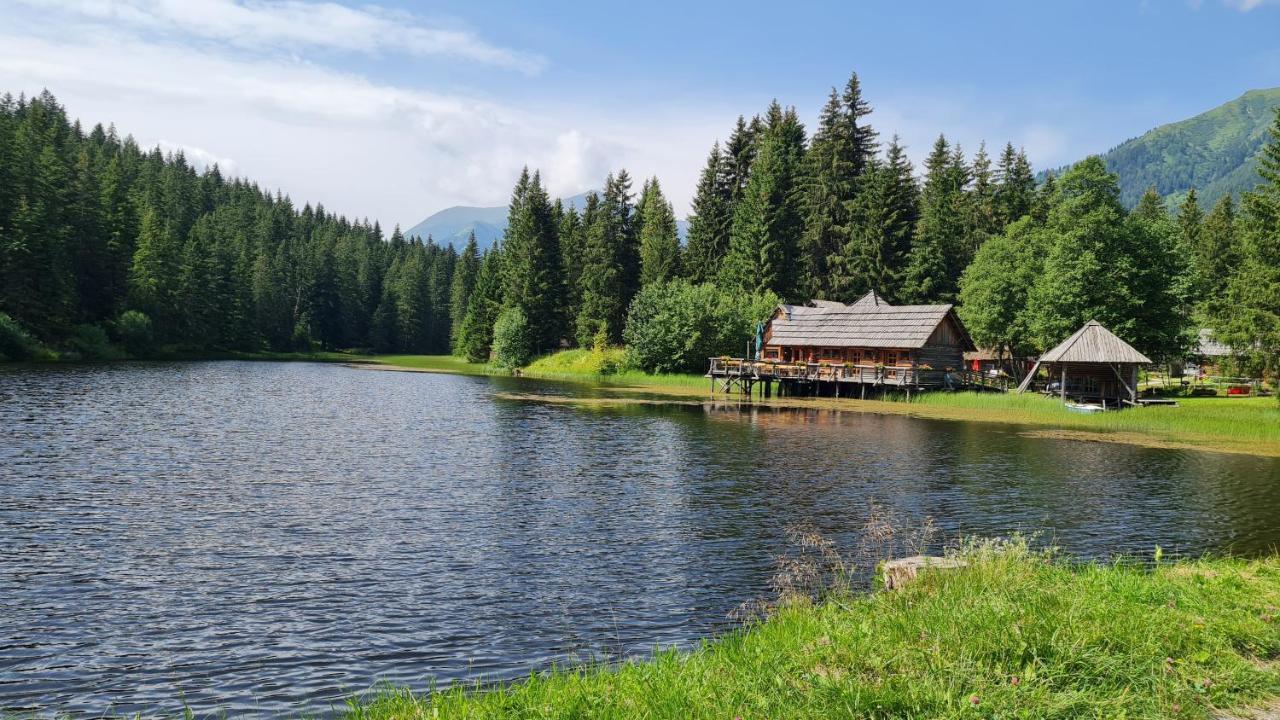 Willa Haus Emmy - Urlaub Bei Freunden Hohentauern Zewnętrze zdjęcie